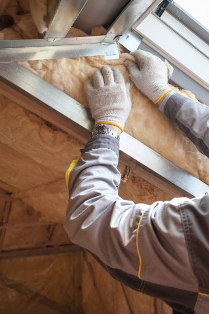 Best Insulation Replacement Services  in Aberdeen, NC