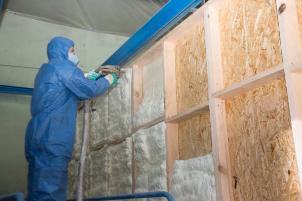 Best Attic Insulation Installation  in Aberdeen, NC