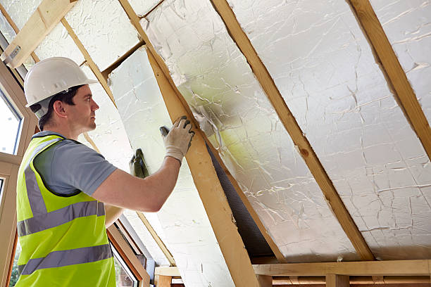 Best Cellulose Insulation  in Aberdeen, NC