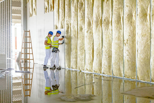 Best Home Insulation Services  in Aberdeen, NC